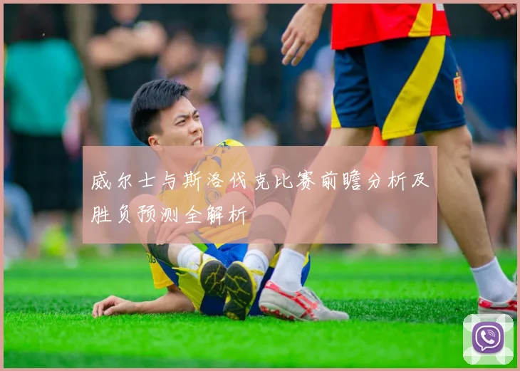 威尔士与斯洛伐克比赛前瞻分析及胜负预测全解析