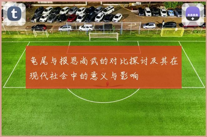 龟尾与报恩尚武的对比探讨及其在现代社会中的意义与影响