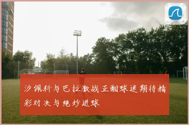沙佩科与巴拉激战正酣球迷期待精彩对决与绝妙进球