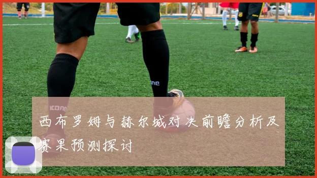 西布罗姆与赫尔城对决前瞻分析及赛果预测探讨
