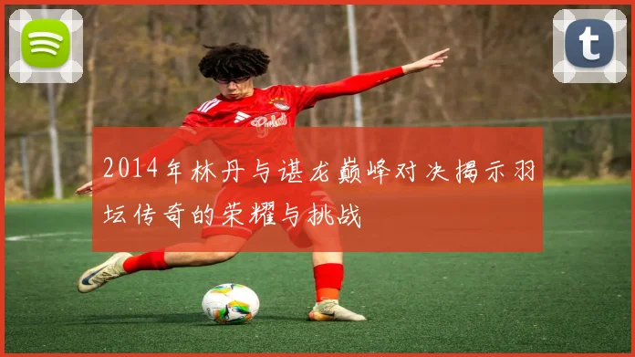 2014年林丹与谌龙巅峰对决揭示羽坛传奇的荣耀与挑战