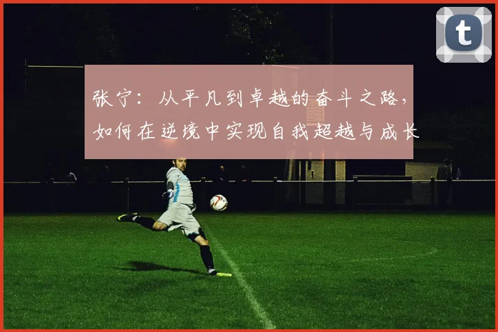 张宁：从平凡到卓越的奋斗之路，如何在逆境中实现自我超越与成长