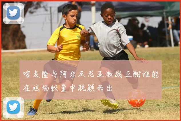 喀麦隆与阿尔及尼亚激战正酣谁能在这场较量中脱颖而出